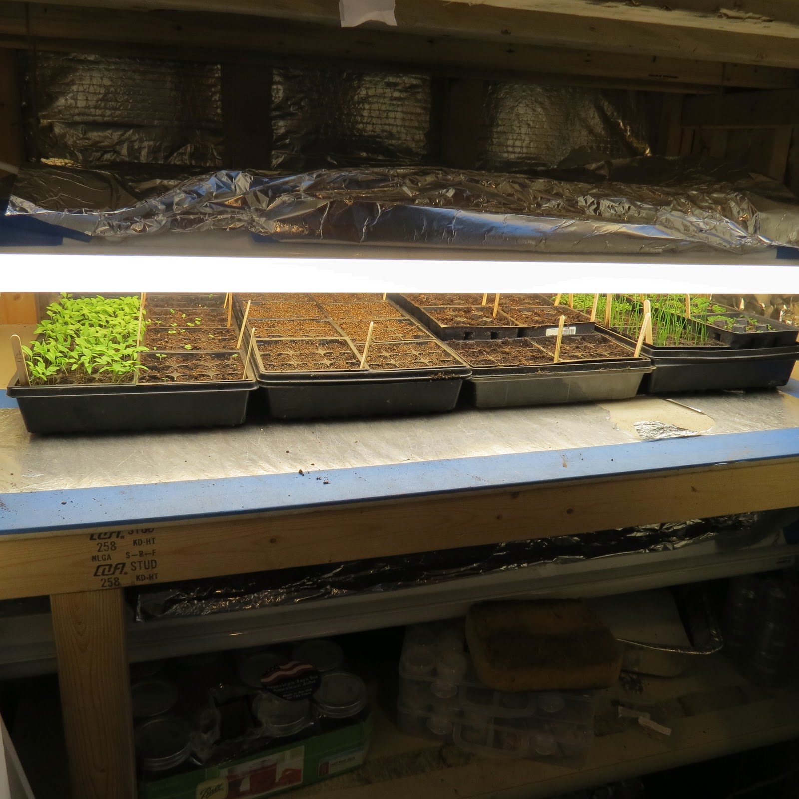 The Rusted Vegetable Garden