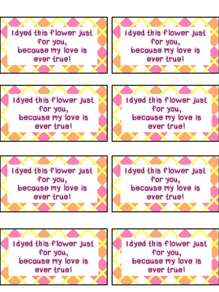 For the Love of First Grade Colorful Carnations, Magnificent Moms