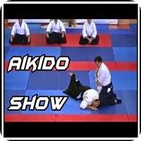 Aikido Show | arte marcial japonesa 