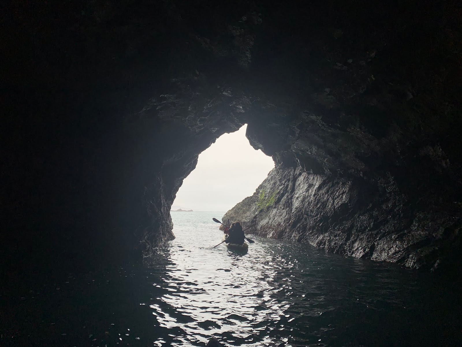 Kayak Mendocino, About Professionally guided Ocean kayak tours on the