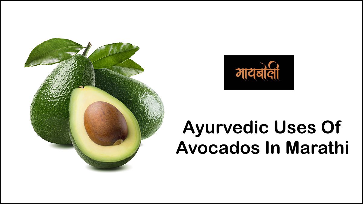 Ayurvedic Uses Of Avocados In Marathi