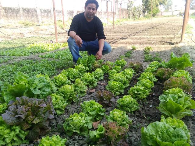 F3 Hydroponics Hydroponics Advantages