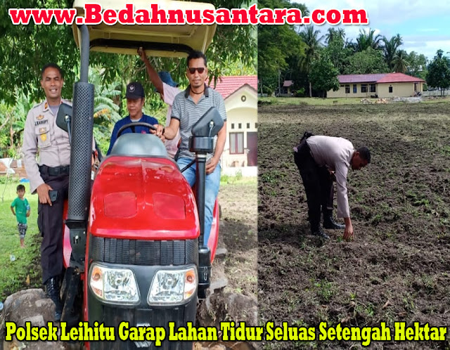 Polsek Leihitu Garap Lahan Tidur Seluas Setengah Hektar 1 garap%2Blahan