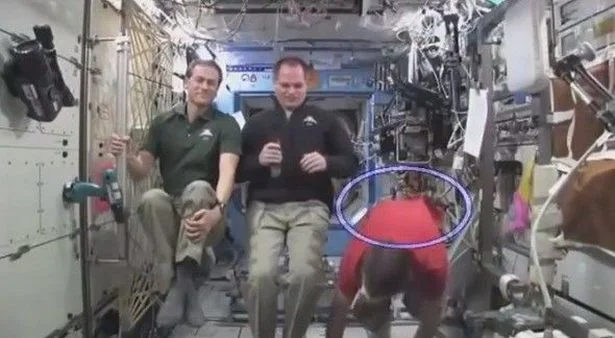 Astronaut in red wearing a harness in the ISS live feed.