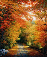 Autumn New England
