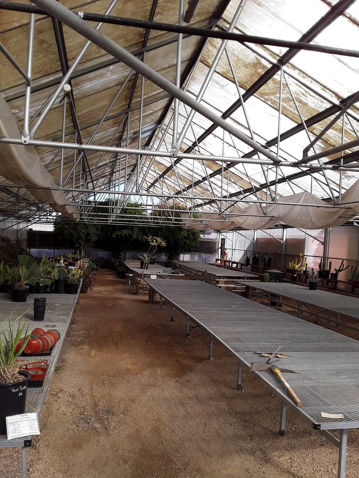 Xtremehorticulture of the Desert Greenhouse Space Available for Rent