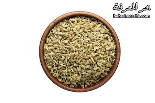 اليانسون اليانسون