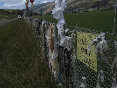 The Cardrona Bra Fence of New Zealand