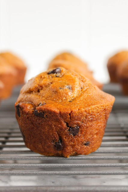 Pumpkin Chocolate Chip Muffins | The Chef Next Door