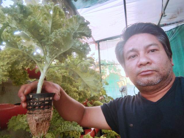 F3 Hydroponics Hydroponics Advantages