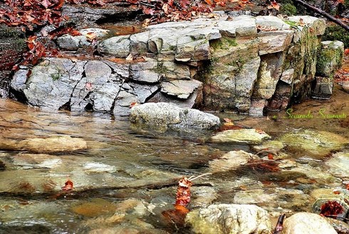 Tutto scorre come un fiume