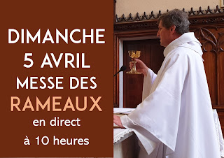 https://www.saintvincentenlignonavecvous.fr/2020/03/rameaux-messe-en-direct-dimanche-5-avril.html