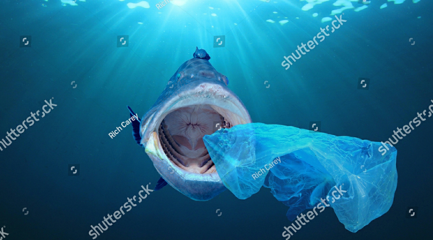 What If Plastic was Never Invented