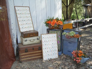 Steamer trunk/luggage as backdrop for guest cards