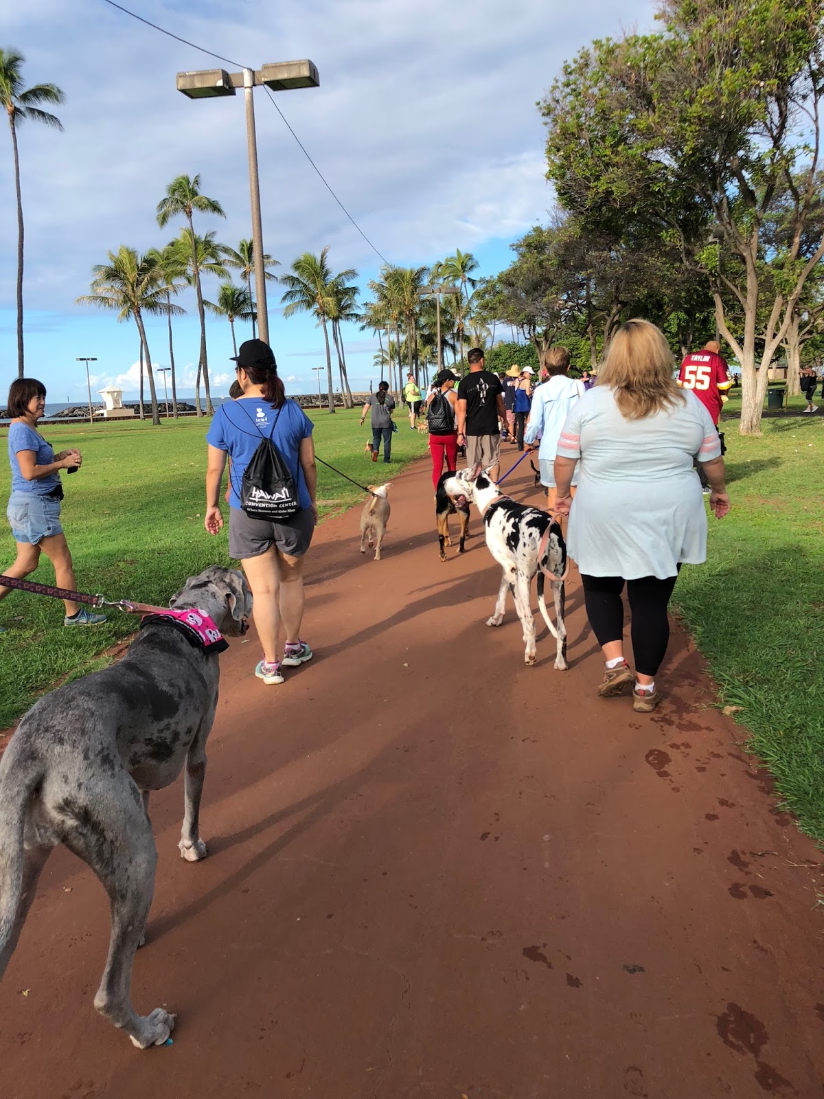 GREAT EATS HAWAII HONOLULU HUMANE SOCIETY ANNUAL PET WALK