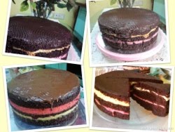 DUO LAYERED CHEESE CHOC CAKE