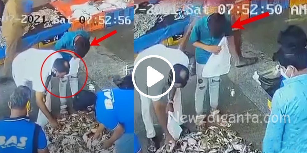 “நண்டு வாங்குவது போல் நடித்து செல்போனை அலேக்காக திருடிய திருடன்.. சிசிடிவி காட்சிகள்.! “நண்டு வாங்குவது போல் நடித்து செல்போனை அலேக்காக திருடிய திருடன்.. சிசிடிவி காட்சிகள்.!