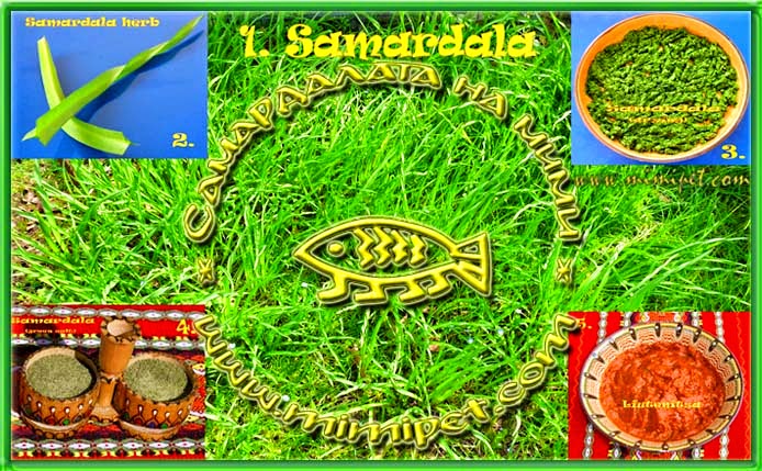 www.mimipet.com samardala mimi 01 - How To Grow Truffles In Texas How To Grow Truffles In Texas Best Ideas 2021