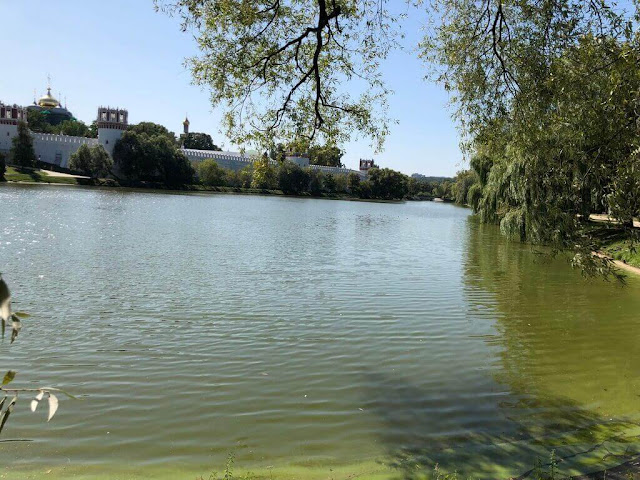 "Lago dos cisnes" no Parque Novodevichy - Moscovo