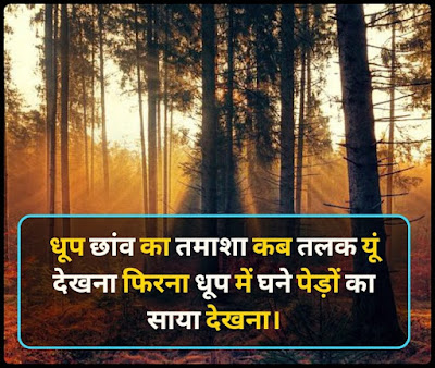 Dhup Par Shayari In Hindi Dhup Par Shayari In Hindi