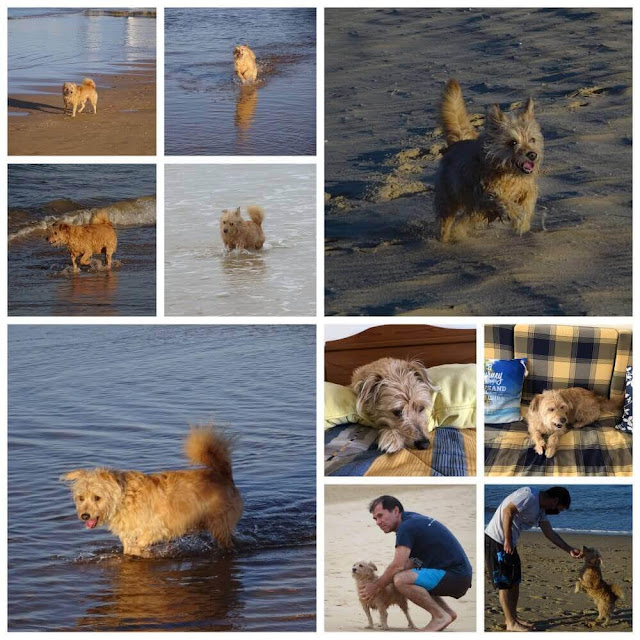 Cuki - Praia da Rocha