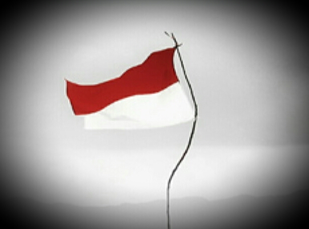 Pengertian Patriotisme Ciri Ciri Bentuk Dan Tujuan Patriotisme Serta Perbedaan Antara Patriotisme Dan Nasionalisme