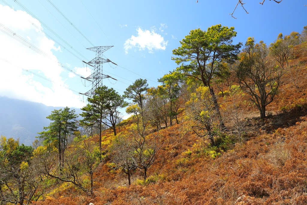 丹大林道以及台電電塔保線路