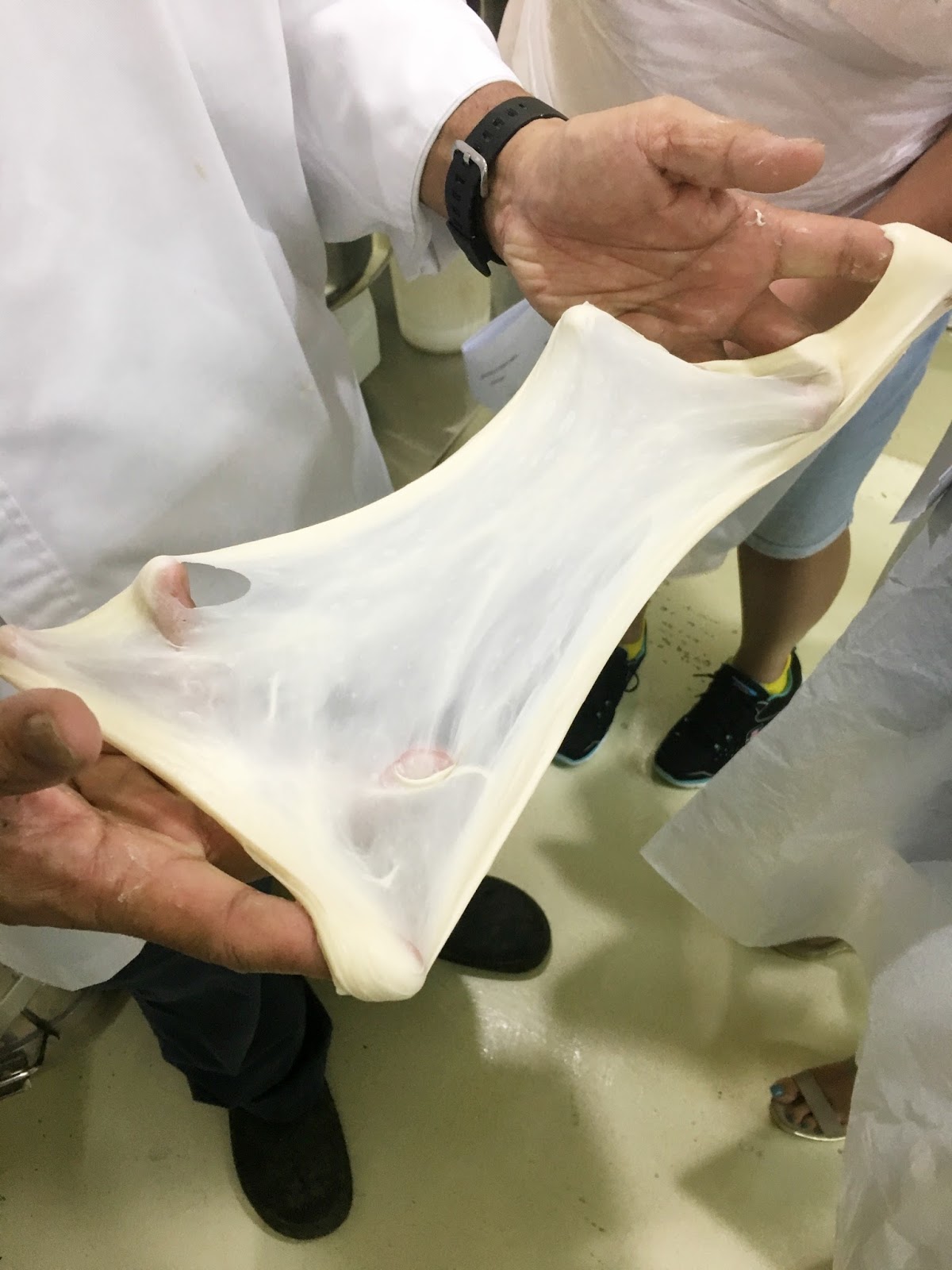 Baking Bread with Water Kefir and Milk Kefir Projects by Jane