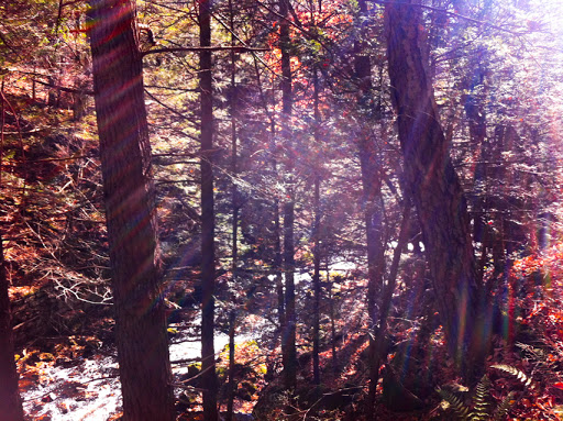 Hancock Brook Trail - Waterbury CT