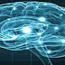 FIQUE SABENDO! / Dependência de ‘memória digital’ está prejudicando memória humana, diz estudo