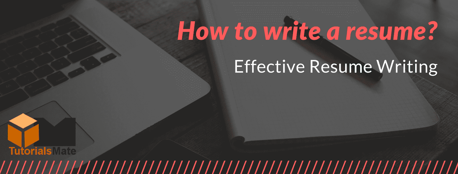 How to Write a Resume - TutorialsMate How to Write a Resume - TutorialsMate