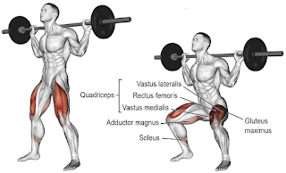 Top 5 Exercises For Building Legs, Barbell Squats Top 5 Exercises For Building Legs, Barbell Squats