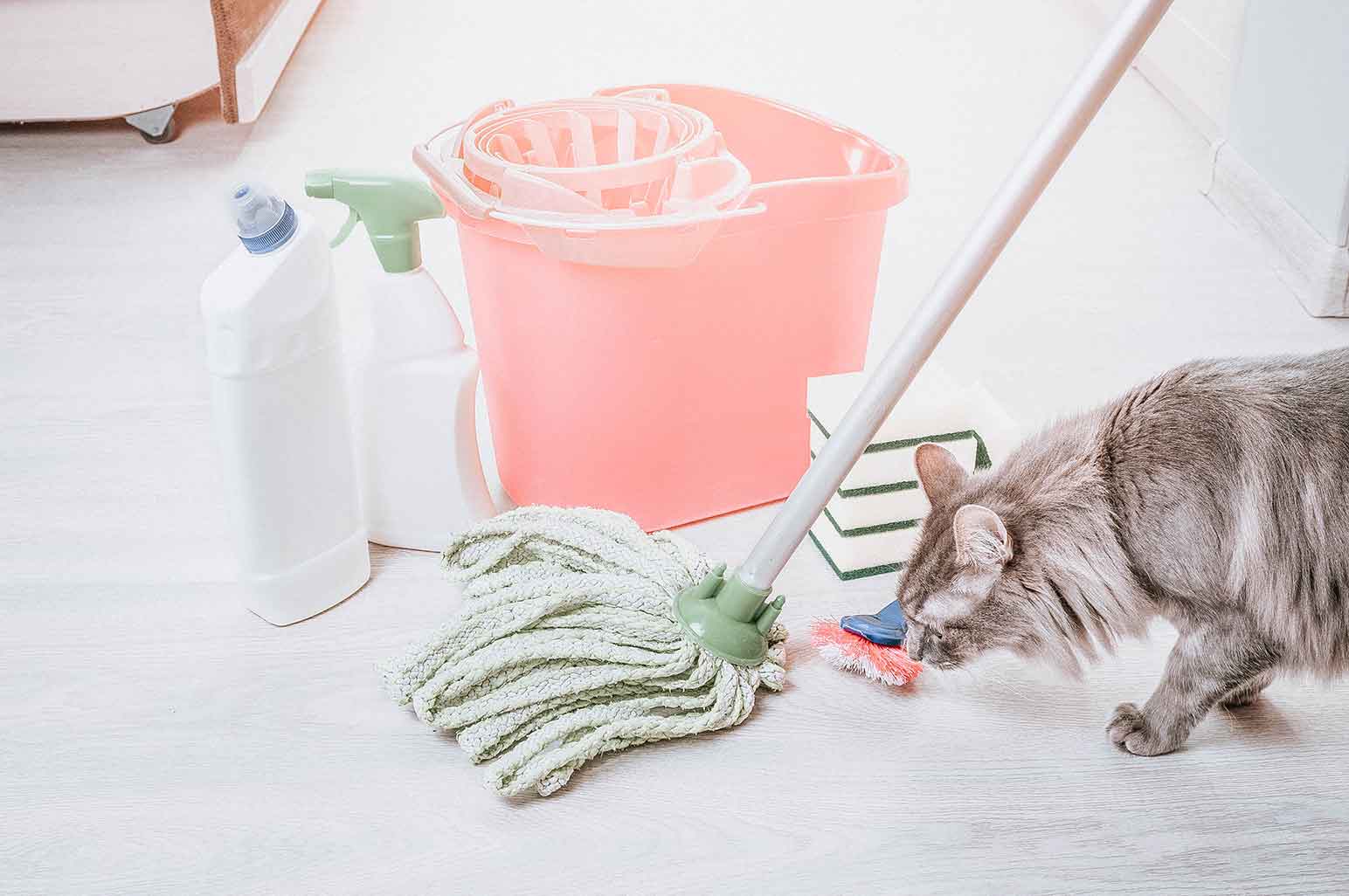 Green Cleaning: 8 Major Reasons to Use Eco-Friendly Products