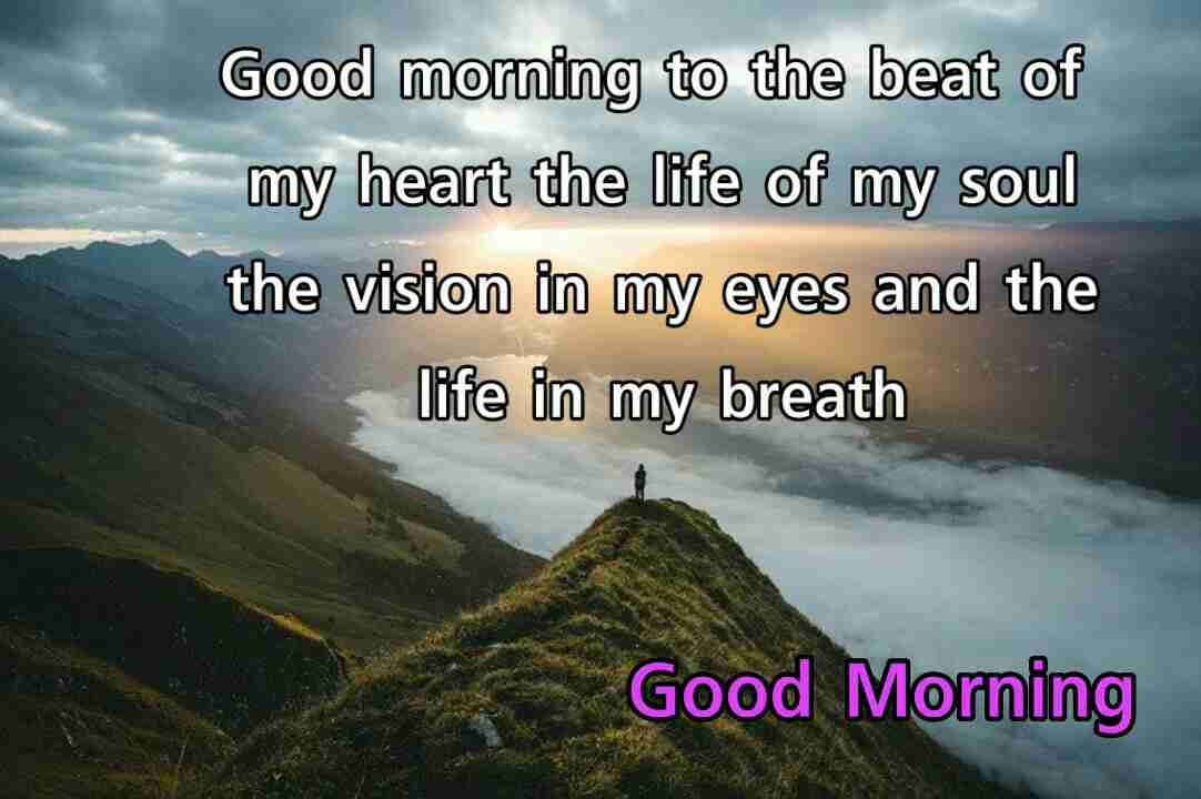 151+ Good Morning Quotes with Images, Pics Best Collection