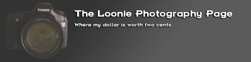   The Loonie Photography Page