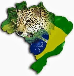 BRASIL