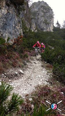 Bikebergsteigen Plätzwiese mtb