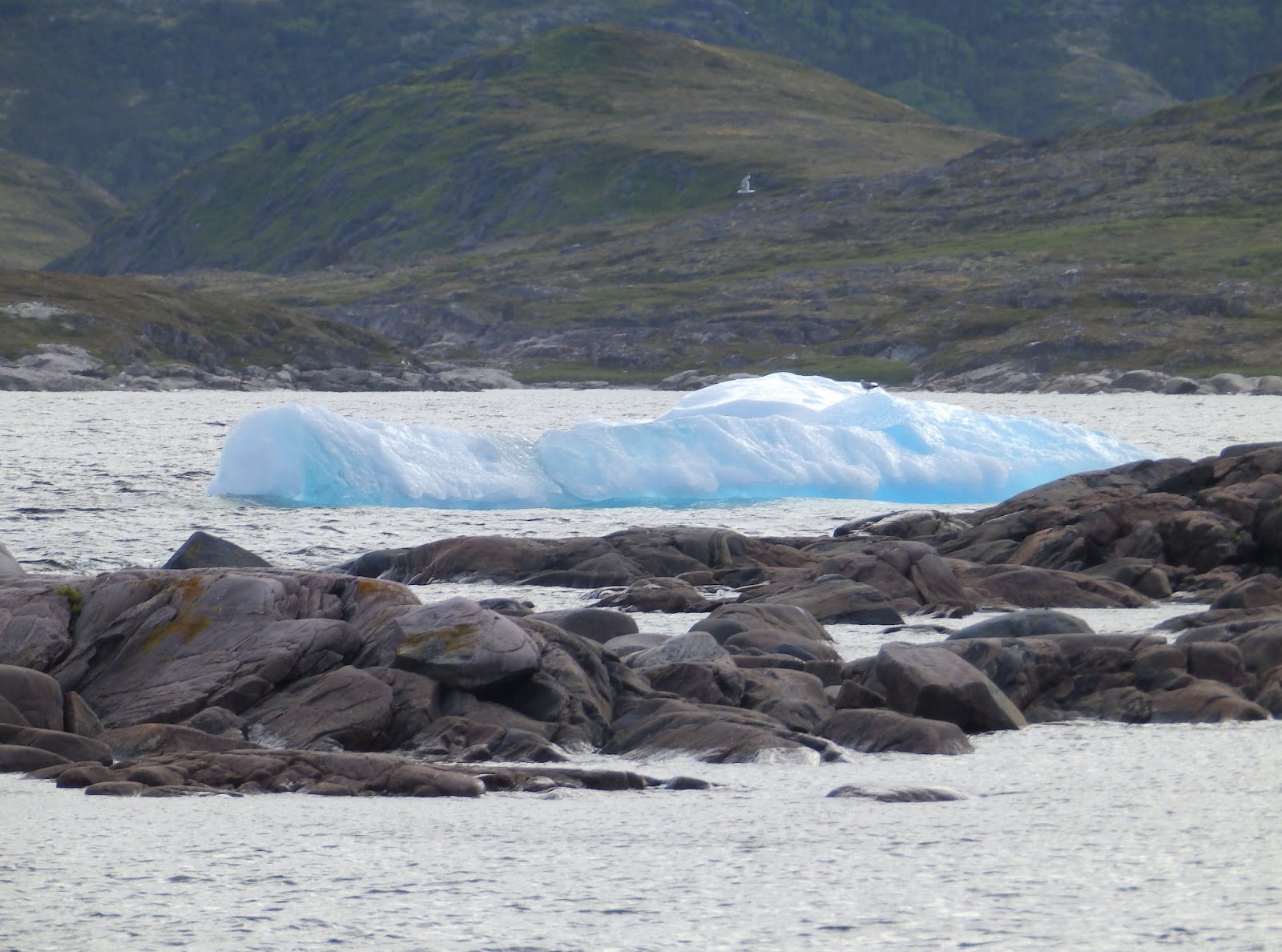 Northern Exposure 2013 Views From Stage Island, Labrador