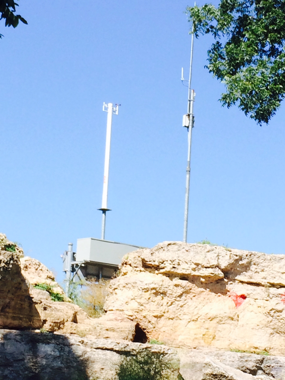 Austin, Texas Daily Photo Blowing in the wind