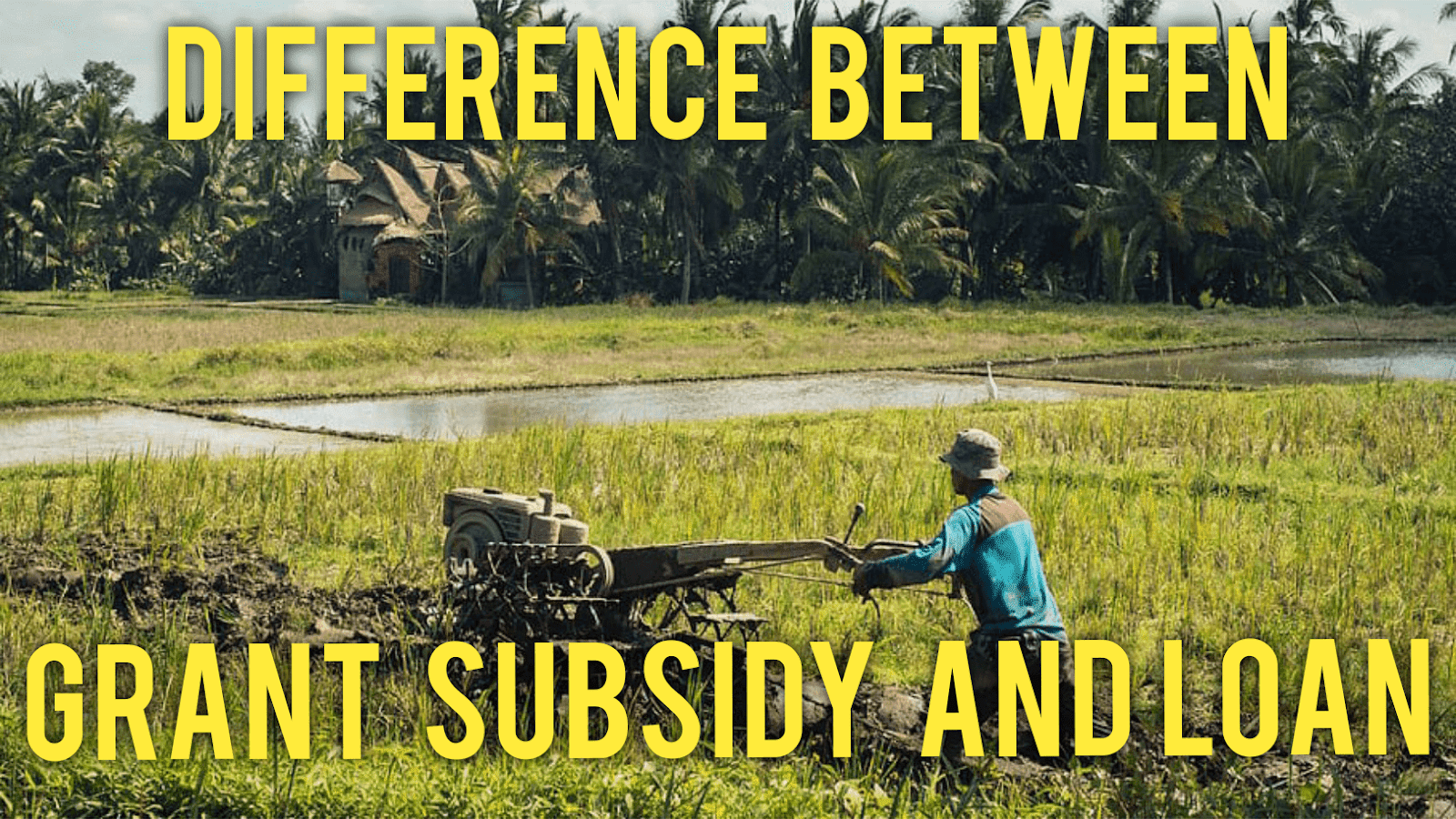 subsidy-vs-subside-what-s-the-difference