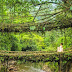 Spectacular waterfalls & living root bridges in Cherrapunji through the eyes of backpacker duo from Ireland | #OKTravel