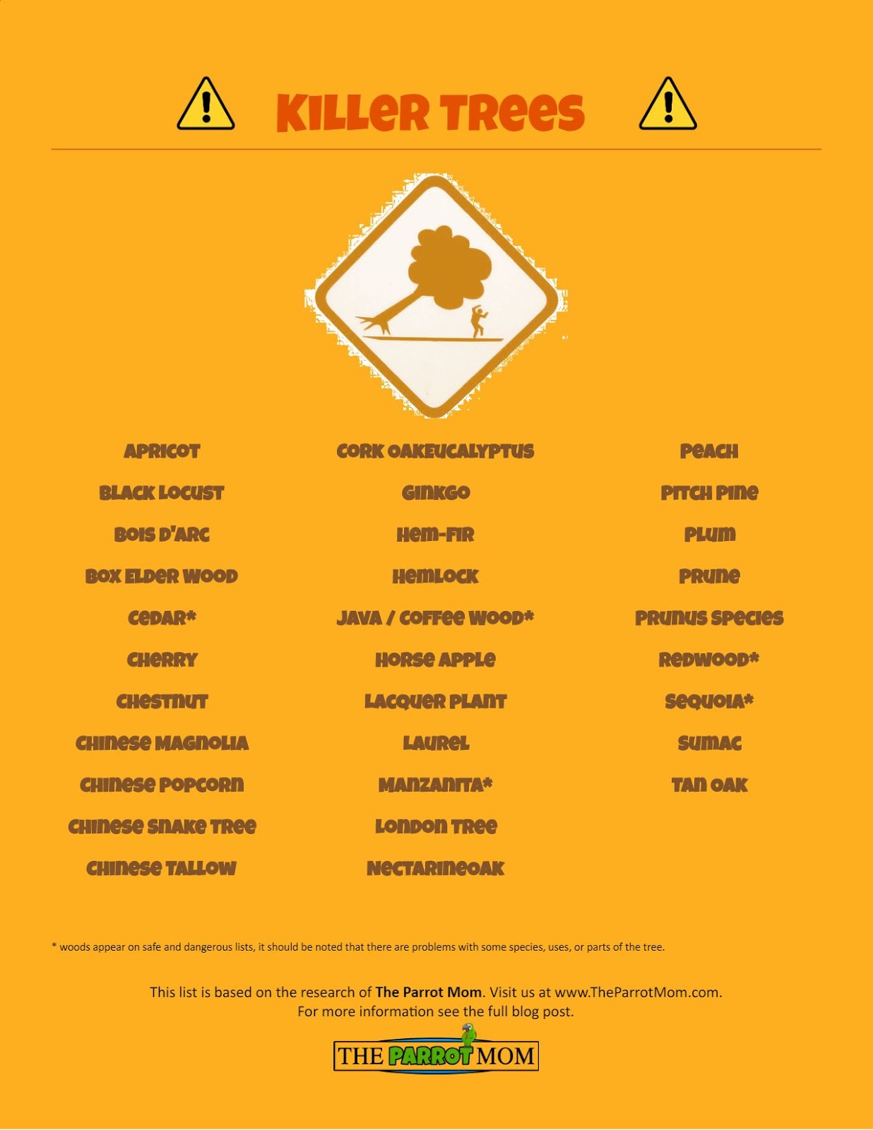 What's Safe and Dangerous for my Parrot The Parrot Mom, LLC