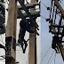 Thief with charm in his mouth electrocuted while trying to steal copper in Abuja (Photos)