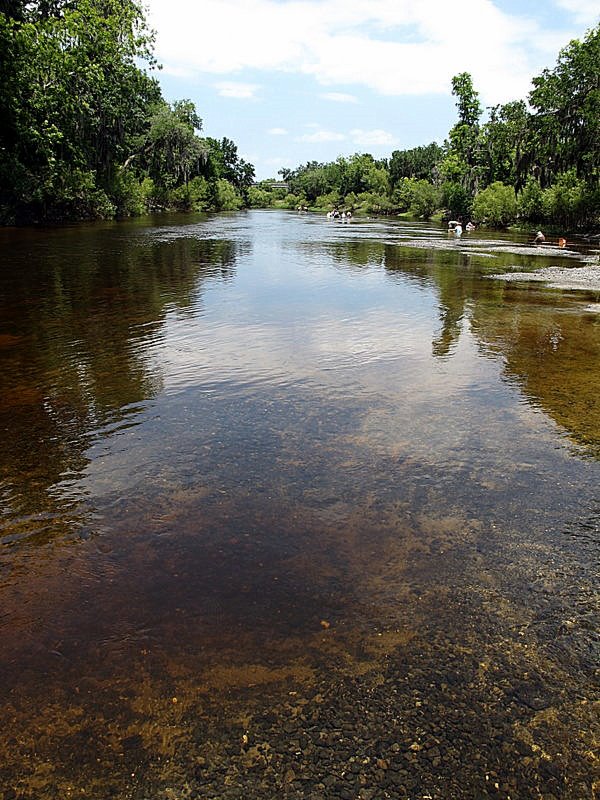 The Bu Element: Fossil hunting on the Peace River...