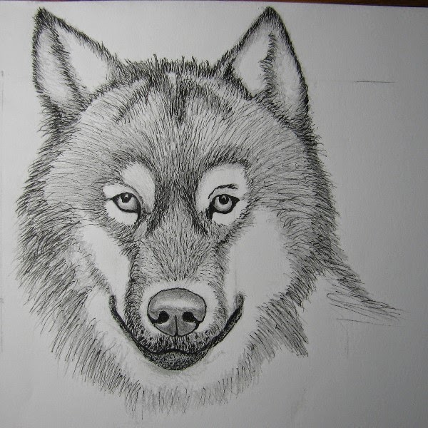 Rosewin's Home & Garden Journal: Wolf Finished