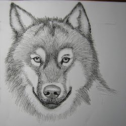wolf rosewin journal garden crilley tutorial mark want