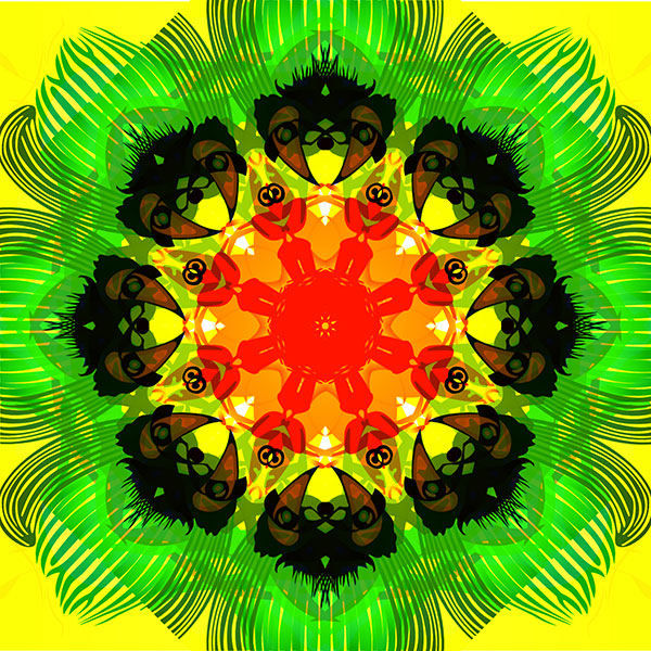 Picture Editing Create a Kaleidoscope Effect In