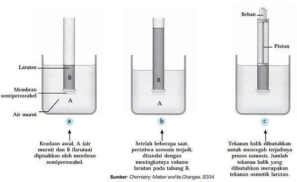 Proses osmosis dengan membran semipermeabel