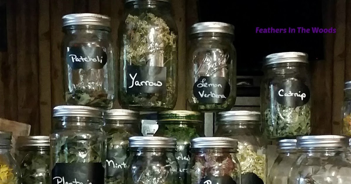 Feathers in the woods How to store dried herbs