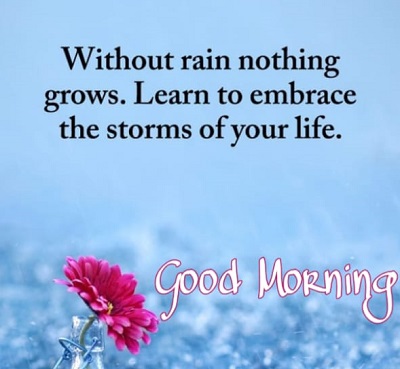 Top 50 Good Morning Quotes to Start the fresh Day Top 50 Good Morning Quotes to Start the fresh Day